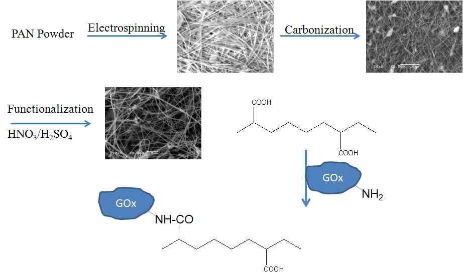 PAN 나노 섬유로부터 CNF의 제조와 기능화 and GOx의 고정화 과정의 모식도
