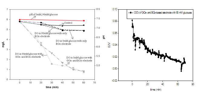 효소연료전지의 pH, DO(좌)와 OCV(우)의 상관관계