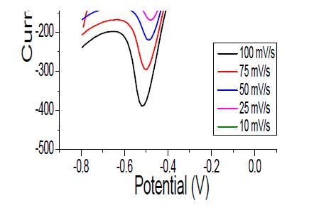 CNFp에 비공유결합된 GOX의 cyclic voltammetry 분석결과 (scan rate range의 변화: 10 to 100 mV/s)