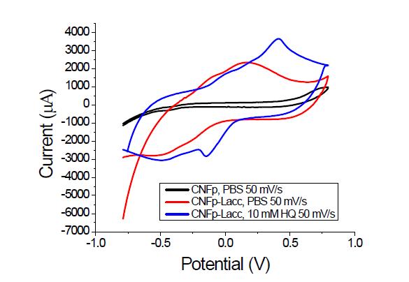 GCNFp에 고정화된 laccase에 의해 나타나는 hydroquinone의 산화 Cyclic voltammetry 분석결과