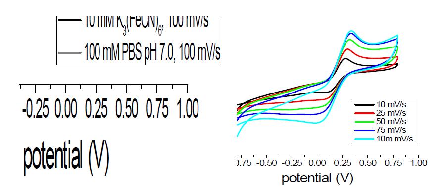 Bare CNT-CMEMS의 CV 변화 (10 mM K (FeCN) 0.1 M PBS solution pH 7.0)