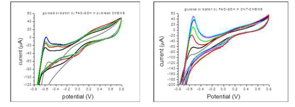 FAD-GDH/menadione system을 적용한 pyrolised CMEMS (left) and CNT-CMEMS에서 나타나는 포도당 산화 peak의 변화 (0.1 M PBS buffer pH 7.0)