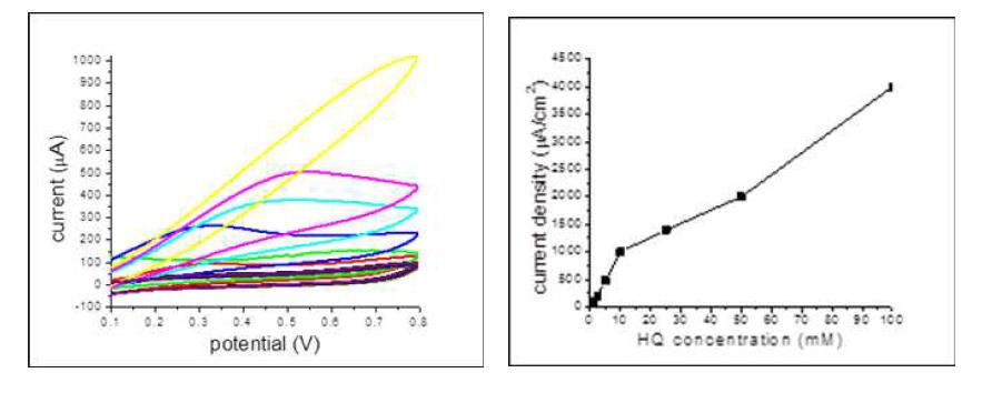 CNT-CMEMS에 고정화된 laccase에 의해 나타나는 hydroquinone 환원(left) 및 전류밀도(right)