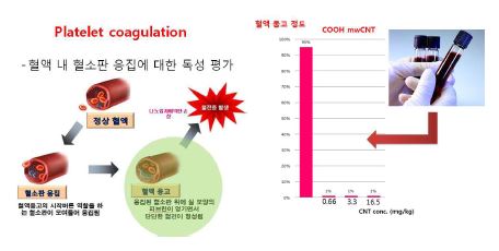 카본 나노 튜브와 인체 혈소판 세포의 활성화 분석: 혈액에 나노튜브를 주입한후 응고 현상을 조사한 결과 혈액응고를 발생하지 않는 것으로 확인됨.