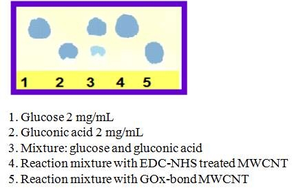 카르복시화된 MWCNT와 포도당 산화효소가 고정화된 MWCNT의 포도당 산화성능