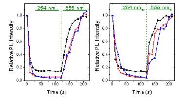 가시광(좌) 혹은 근적외(우) 형광색을 가지는 복합체 폴리머닷의 형광세기 변화 그래프.