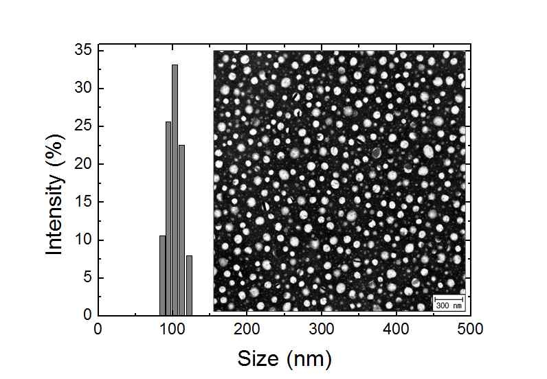 제조된 과산화수소 감응 폴리머 닷의 DLS 결과 및 TEM 이미지