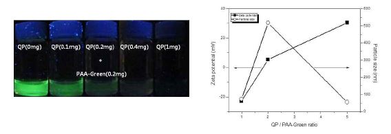형광소광제의 함유량에 따른 폴리머닷의 형광 소광 영상(좌), 표면 전하 및 크기 변화 양상(우).
