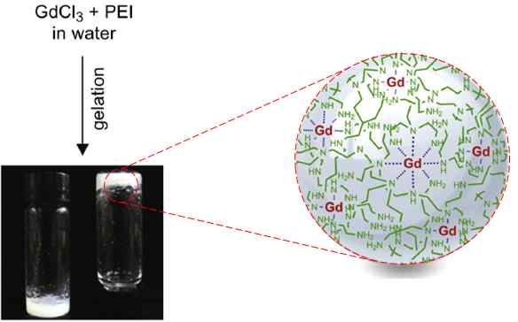 Gd-PEI 벌크겔의 사진 및 예상되는 화학구조
