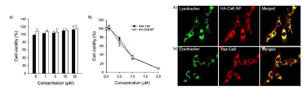 (a)다양한 농도의 HA-Ce6을 처리 1일 후의 U-87 세포의 생존율. (b) 레이져 조사 후의 광독성 테스트. U-87 세포의 Confocal fluorescence microscopy 영상