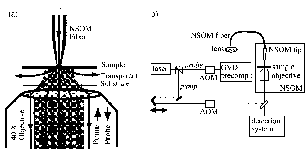 Femtosecond pump-probe NSOM