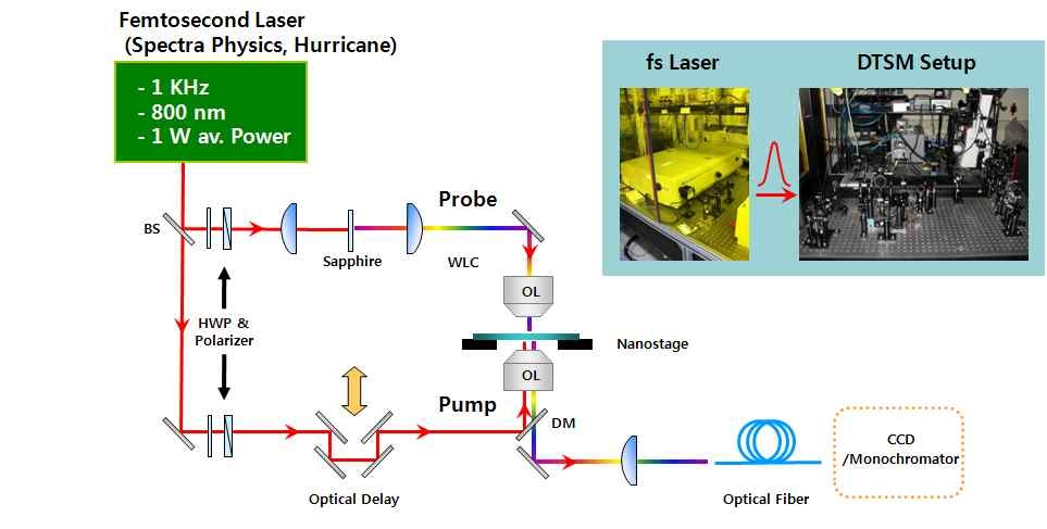 펨토초 DTS 공초점/다광자 현미경의 개략도.