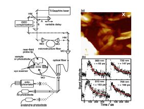 Time-resolved scanning near-field optical microscopy