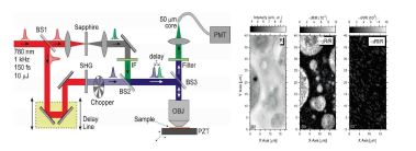 Ultrafast confocal microscope 셋업 및 결과