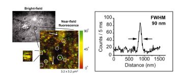 근접장 현미경을 이용한 세포에서의 단분자(Single molecule) 측정.