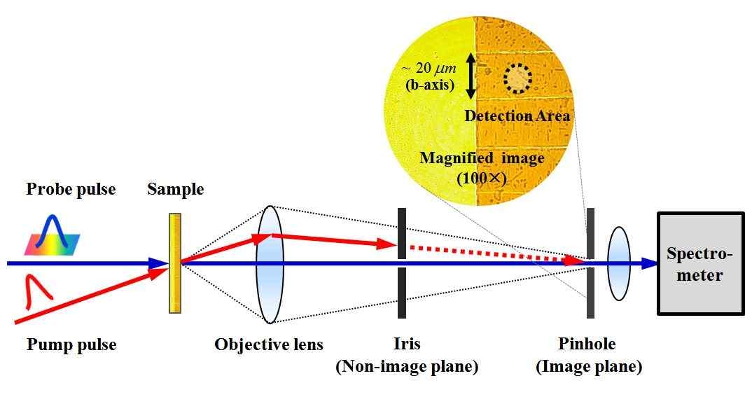 공초점 현미경을 이용한 비선형 분광 장치
