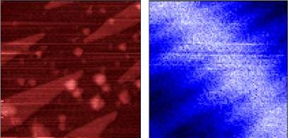 근접장 고분해능 광음향 현미경을 이용한 표준 시료의 토폴로지(좌)와 광음향 이미지(우)