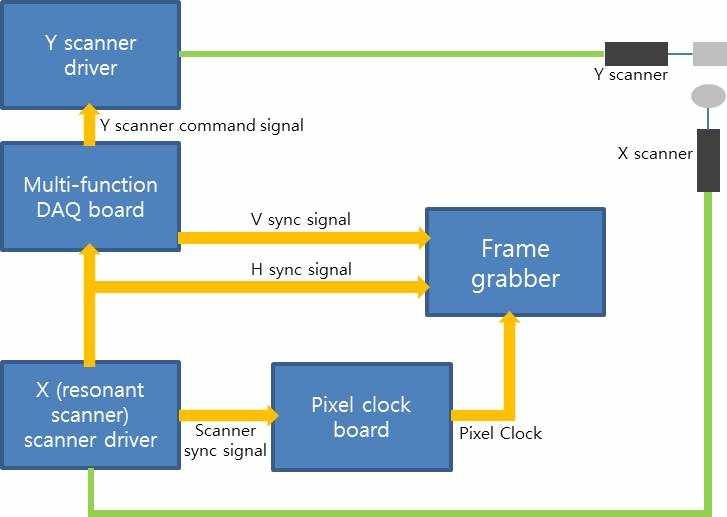 실시간 이광자 현미경의 고속 스캐너 제어 시스템 및 이미지 획득을 위한 신호 흐름도