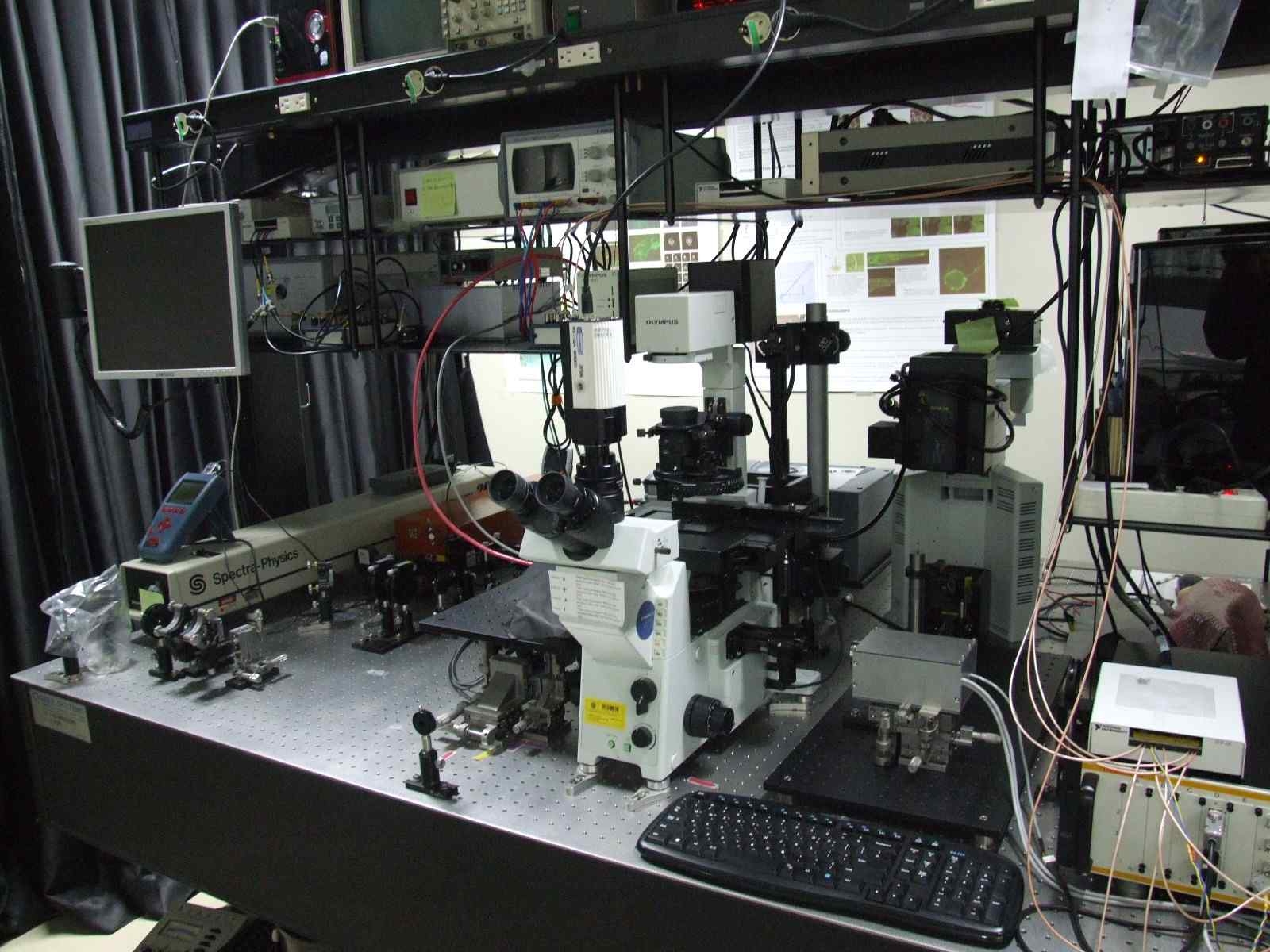 공초점/다광자 결합 현미경과 실시간 이광자 현미경이 결합된 고분해능 현미경 시스템