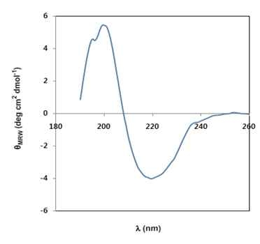 TNF-a의 CD spectrum