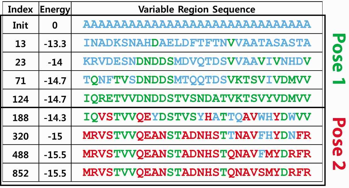 설계 과정에서의 Repebody variable region 서열의 변화