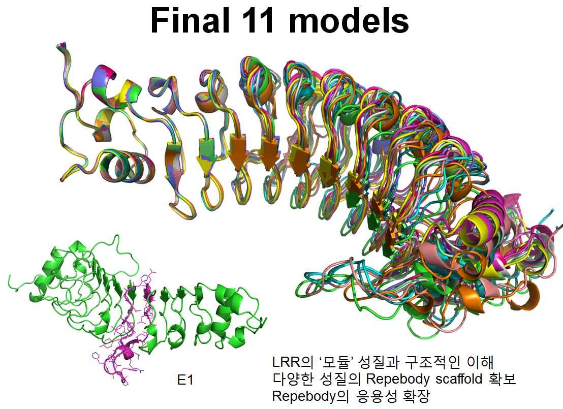 최종적으로 선별된 11개의 신규 LRR 플랫폼 후보