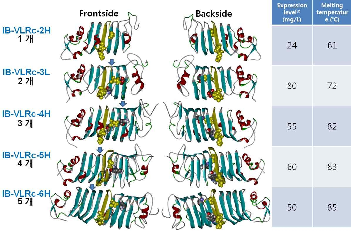 The final snapshot of each protein.