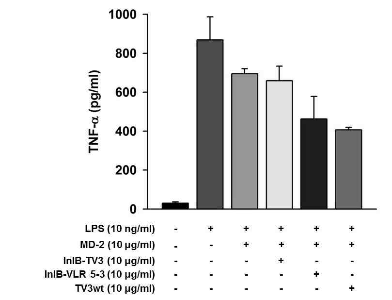 TV3와 대장균에서 발현, 정제한 InlB-VLR의 TNF-α 생성 저해효능 분석