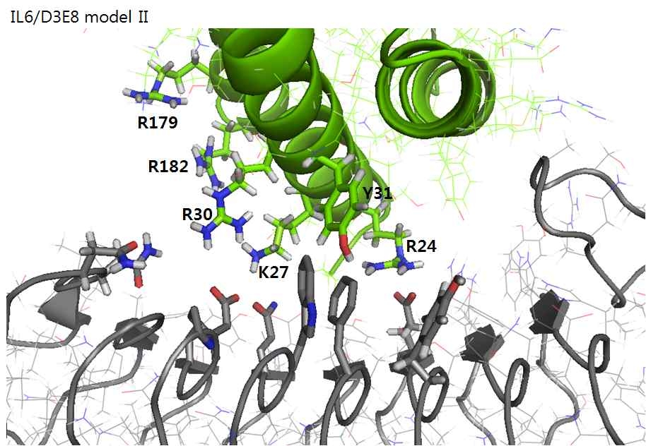 모델 II에서 IL6의 첫 번째 helix의 residue가 D3E8 인공항체 단백질의 side chain과의 상호작용 하는 부위