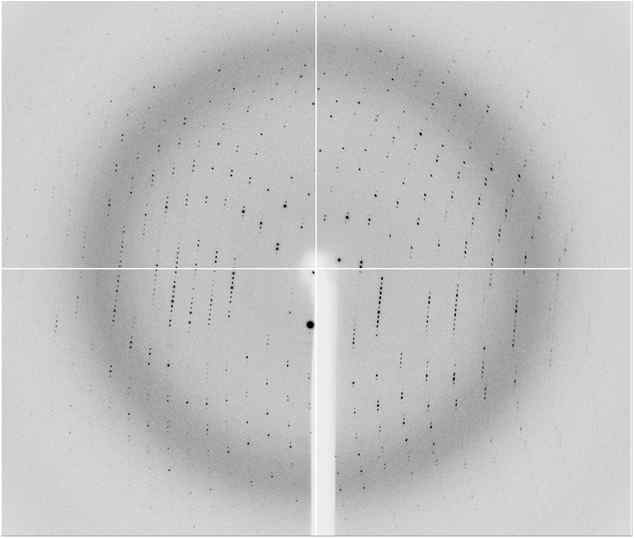 2.3 A의 해상도로 crystal 결정이 diffraction 됨