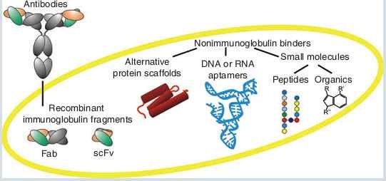 ProteomeBinders consortium 연구목표