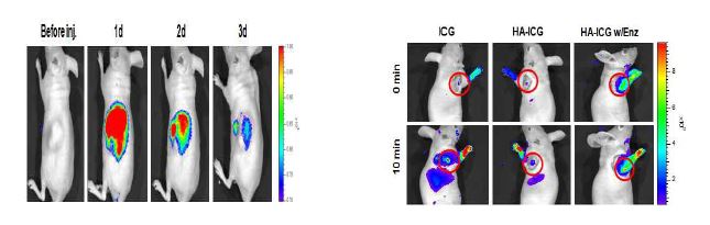 나노겔을 이용한 암 (왼쪽) 과 림프절 이미징 (오른쪽)