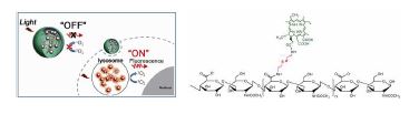 Redox-responsive nano-PDT agent의 개념도와 Hyaluronic acid-Chlorin e6 conjugate의 화학구조