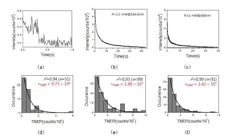단일 형광분자 및 형광실리카 나노튜브의 형광표백 양상 (a～c)및 광안 정성의 통계적 분석결과 (d～f)