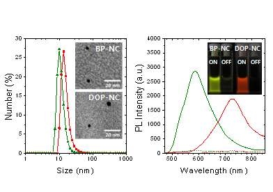 공액고분자와 광색성 염료 이성분 복합체 폴리머닷의 크기 분포와 TEM 이미지