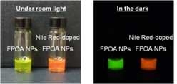 에너지 전이가 가능한 두 형광염료를 포함한 폴리머닷의 화학발광 영상