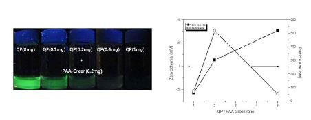형광소광제의 함유량에 따른 폴리머닷의 형광 소광 영상(좌), 표면 전하 및 크기 변화 양상(우)