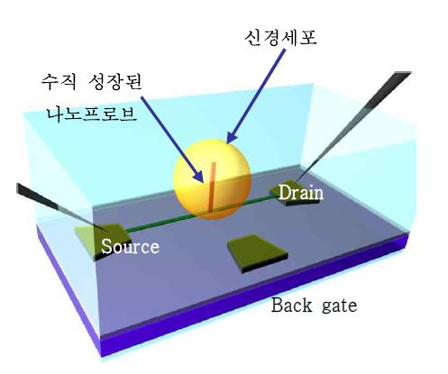 패치클램프 어레이의 개념도