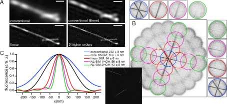 microtubules의 일반 현미경과 선형 및 비선형 SIM의 이미지 비교