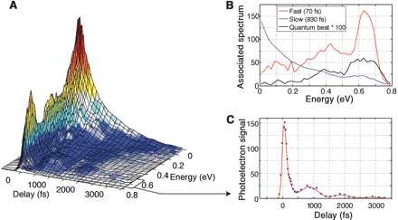 Time-resolved photoelectron spectrum of CS2