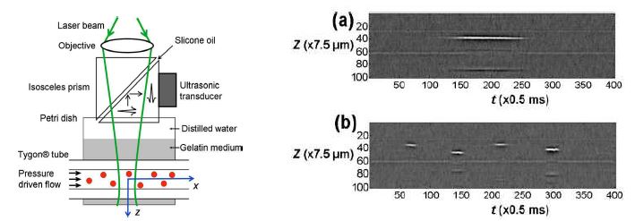 실험 장치 모식도와 유체 속 입자의 광음향 이미지
