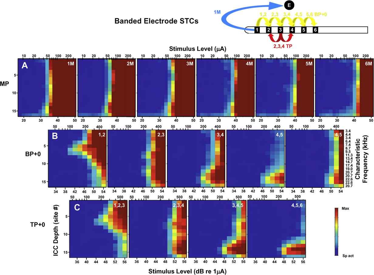 다른 전극 자극에 따른 spatial tunning curves