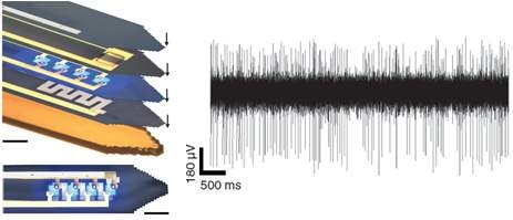 Injectable, cellular-scale semiconductor devices 구조와 측정된 신경신호