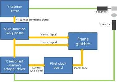 실시간 이광자 현미경의 고속 스캐너 제어 시스템 및 이미지 획득을 위한 신호 흐름도