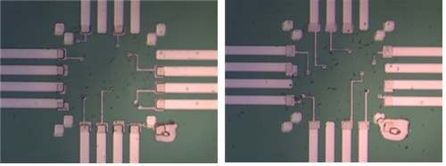 다채널 나노선 소자의 top-down 광학 현미경 이미지