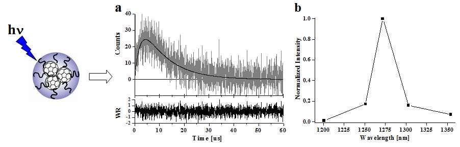 풀러렌 나노입자에 의해 발생한 활성산소의 a) time-resolved spectrum at 1270 nm 와 b) luminescence spectrum.