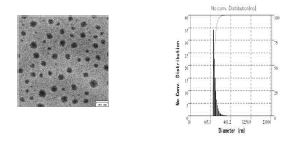 FT-IR (a), NMR (b) 을 통한 PEI-D-GlcNAc-ICG의 합성 확인 및 TEM, DLS를 통한 siRNA와의 결합 후 morphology와 사이즈 확인