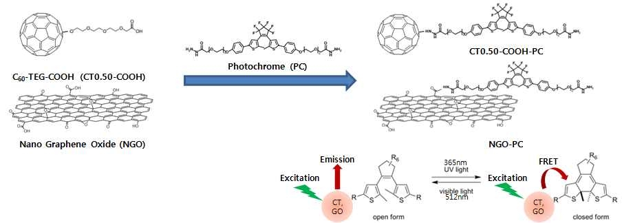 형광을 갖는 풀러렌 나노입자 또는 그래핀 옥사이드와 광감응성 분자인 포토크롬을 결합하여 빛에 의한 스위칭 물질을 만드는 개요도