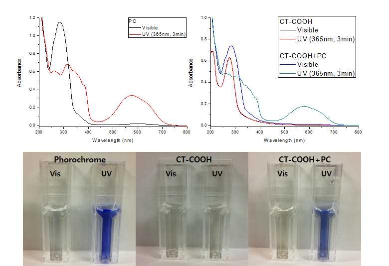 포토크롬을 결합한 풀러렌 나노입자의 광 파장에 따른 흡광도 비교한 스펙트럼(위)과 이에 대한 이미지(아래)