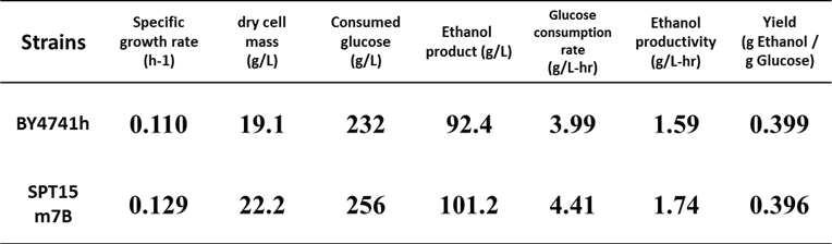 발효기를 이용한 BY4741과 SPT15 m7B 균주의 발효성능 비교